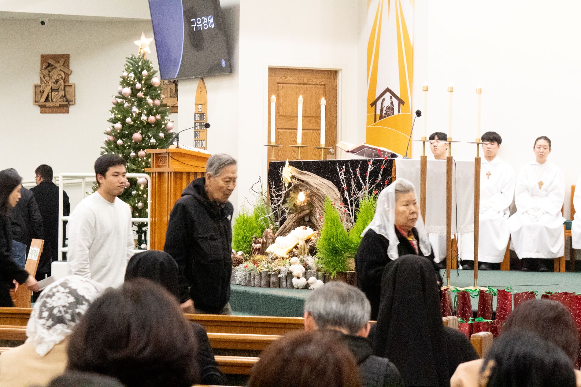 IMG_7666.jpg